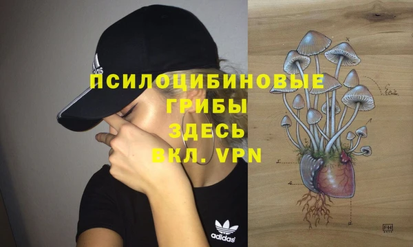крисы Заволжск
