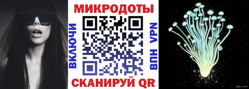Купить где  Ефремов  Галлюциногенные грибы Psilocybine cubensis 
